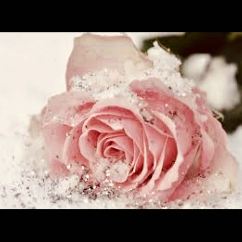 Meet your Posher, Brooklyn